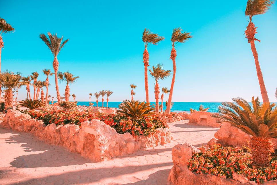 Égypte - Pickalbatros Citadel Resort - Sahl Hasheesh  - 5*