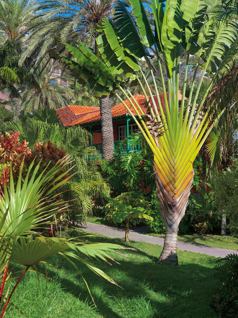 Espagne - Hacienda San Jorge  - 3*