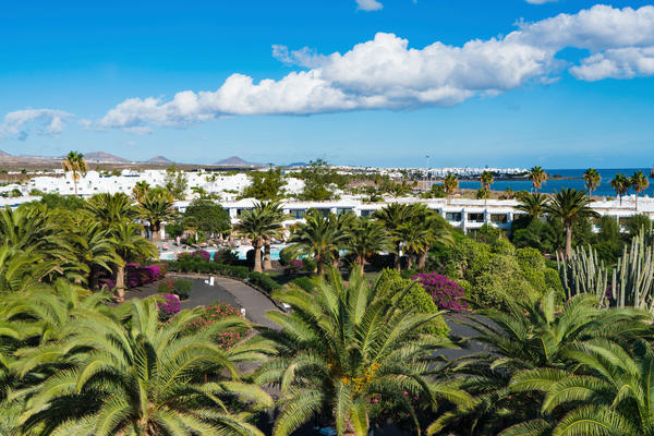 Relaxia Olivina  - 4*  - 1