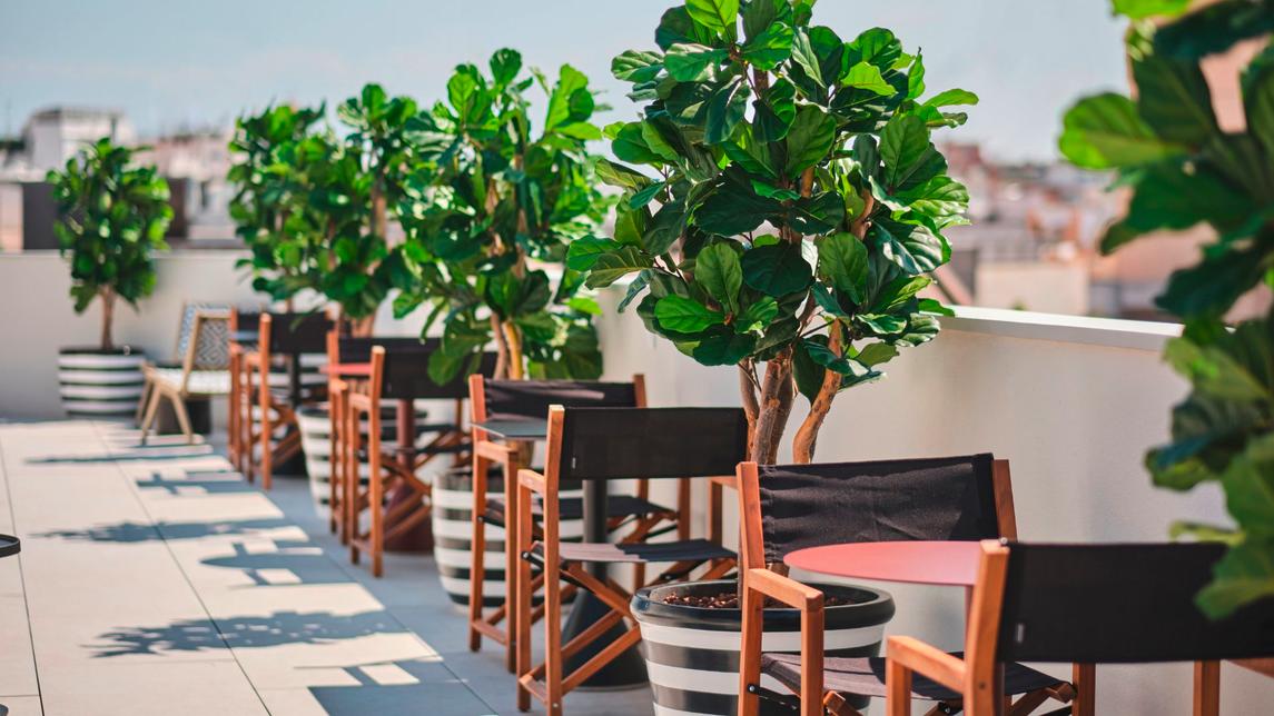 Espagne - Costa de Azahar - Valence - Valence - Hôtel Estimar Valencia 4*