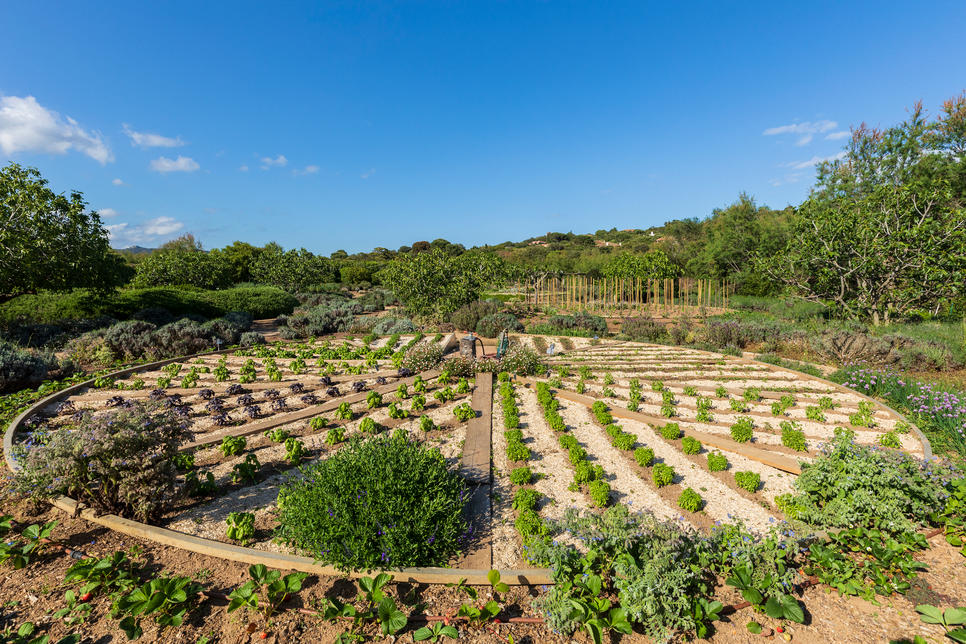 FSCROSEX_2c9283b88f2969790192adc2d8665b06