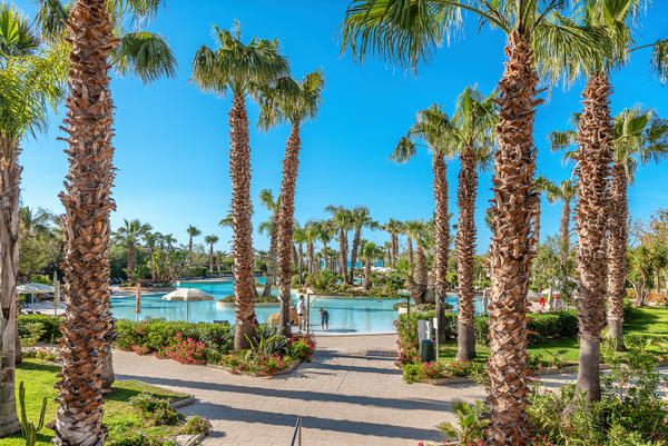 Mangia's Acacia Resort  - 4*  - 1