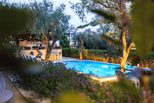 Hotel Harmony  - 4*  - 1