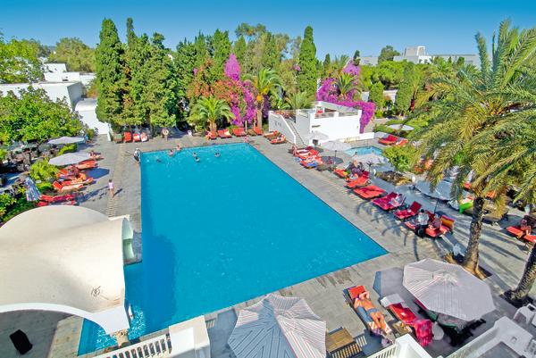 The Orangers Beach Resort & Bungalows  - 4*  - 1