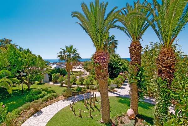 The Orangers Beach Resort & Bungalows  - 4*  - 1